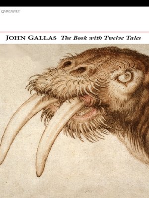 cover image of The Book with Twelve Tales